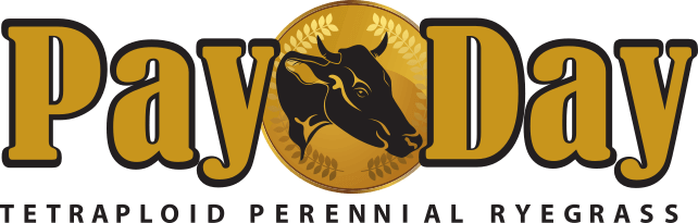 Payday Tetraploid Pereenial Ryegrass Logo